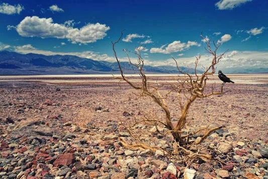 Crisis del Agua en México