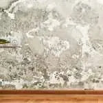 El Salitre en las Construcciones