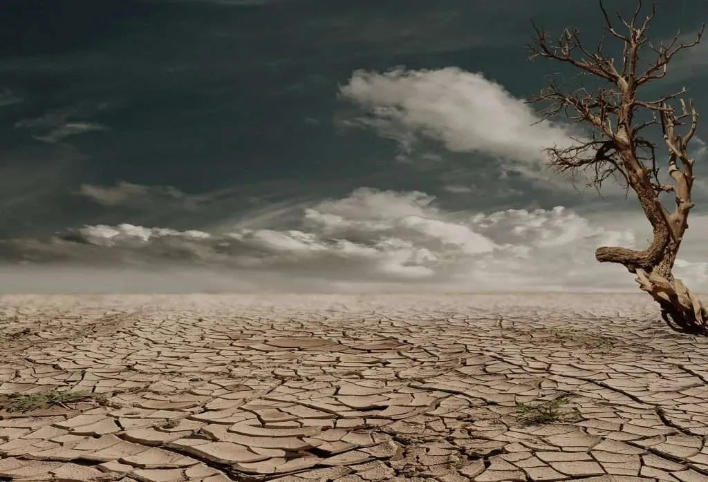 La escasez del agua está empeorando: por qué este problema también impacta a la construcción