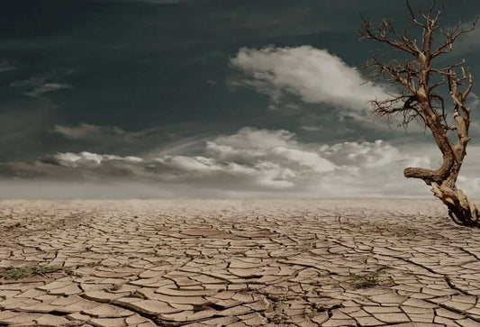 La escasez del agua está empeorando: por qué este problema también impacta a la construcción