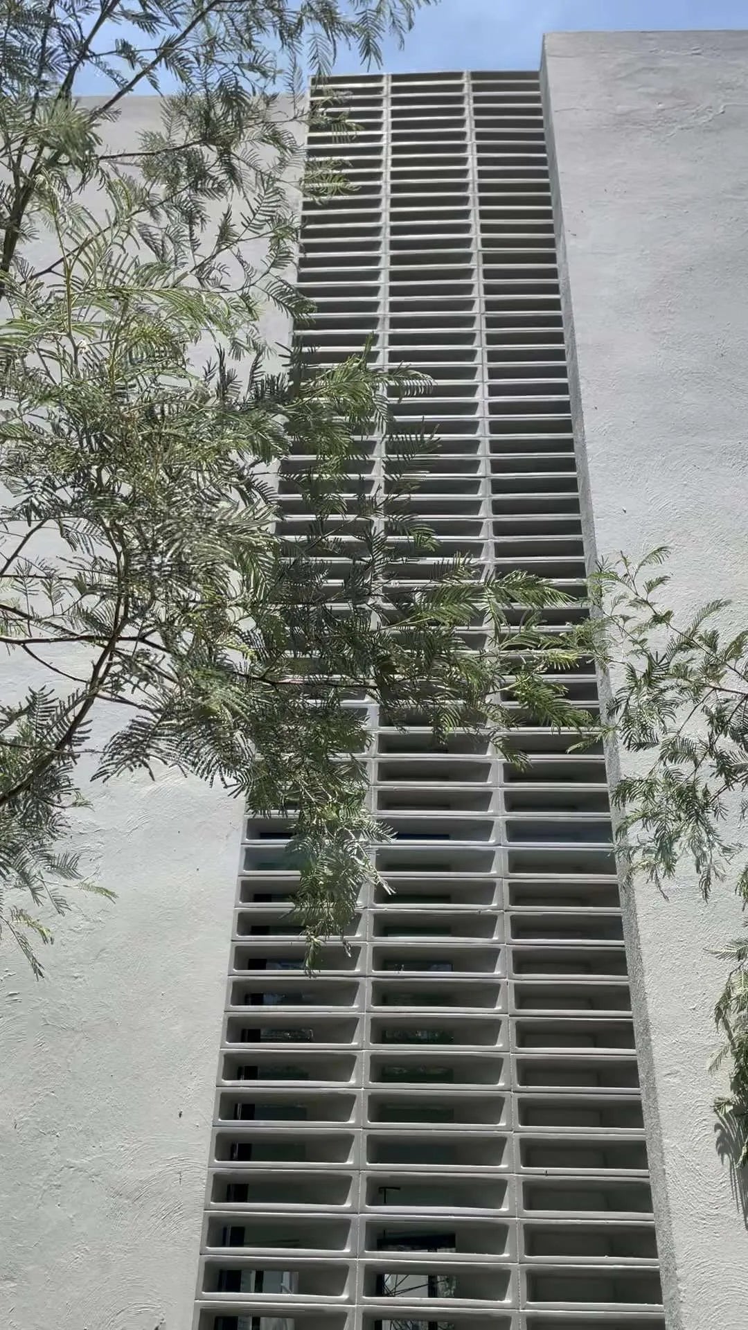 Celosía Puerta Plata