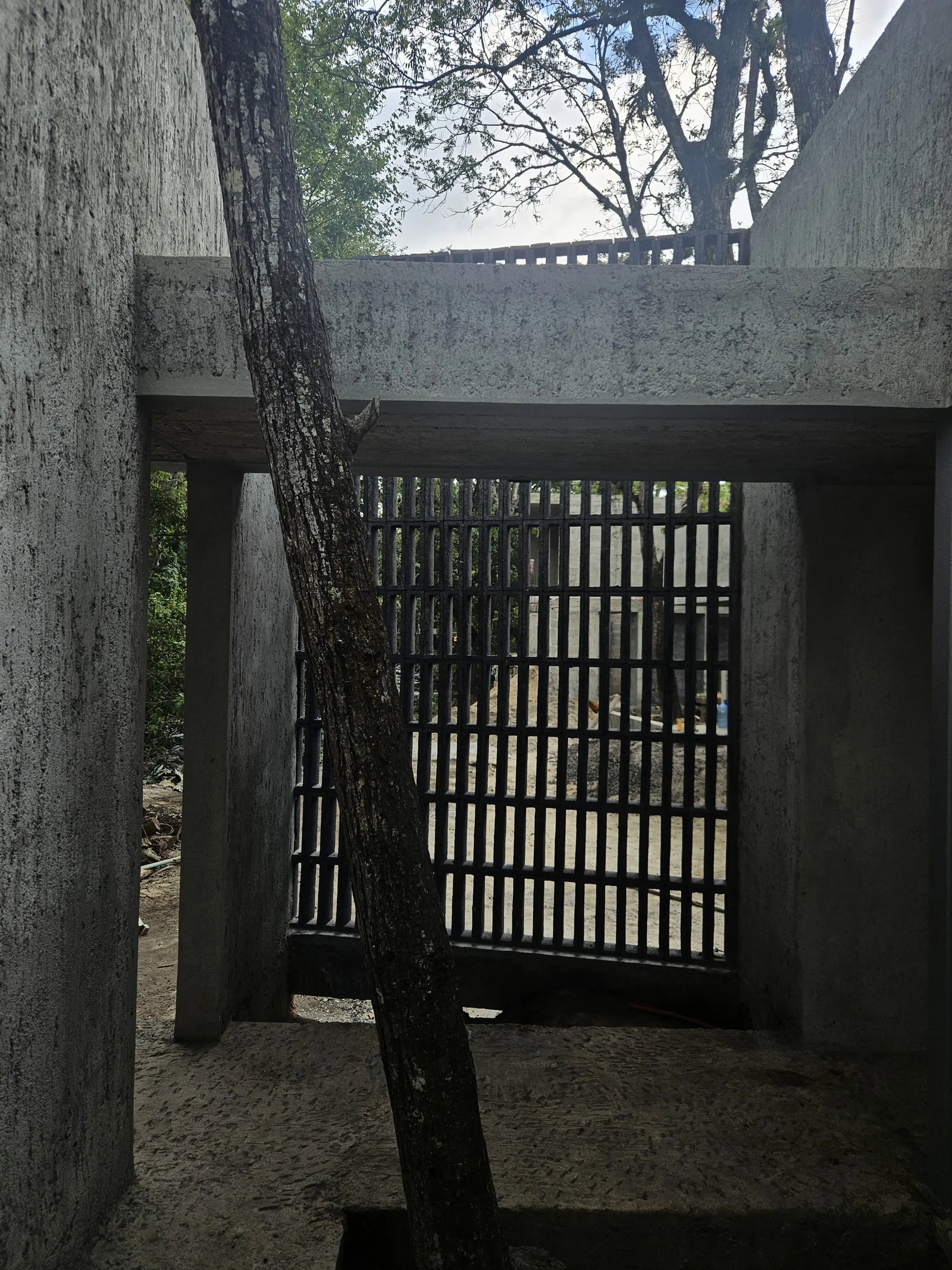 Celosías Modernas en Veracruz - Vettoretti Arquitectos