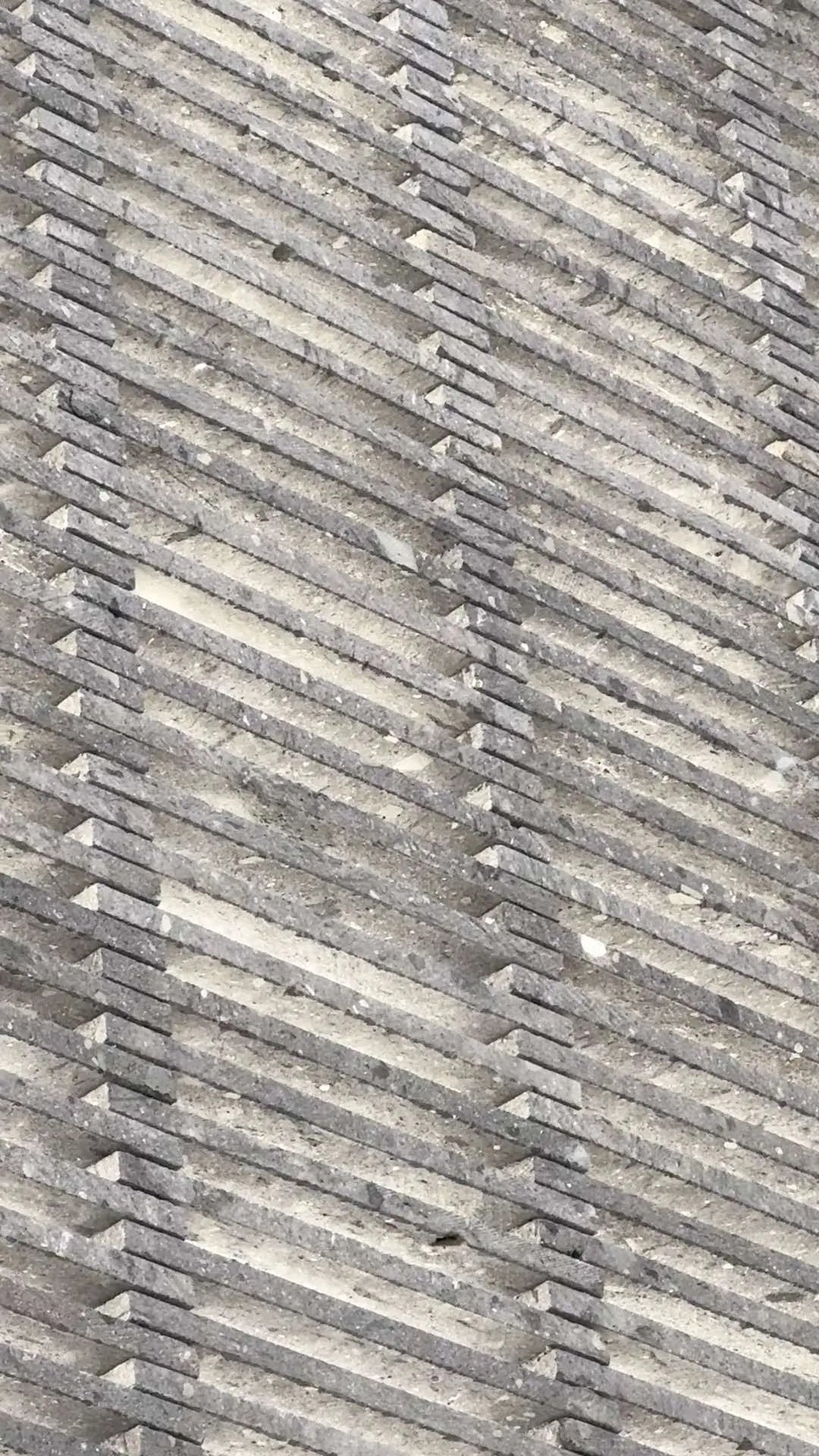 Celosía Recinto Gdl – Arq. Jose Luis Hernandez